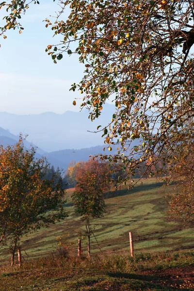 Hermoso Paisaje Montaña Las Montañas Austriacas Siluetas Las Montañas Niebla —  Fotos de Stock