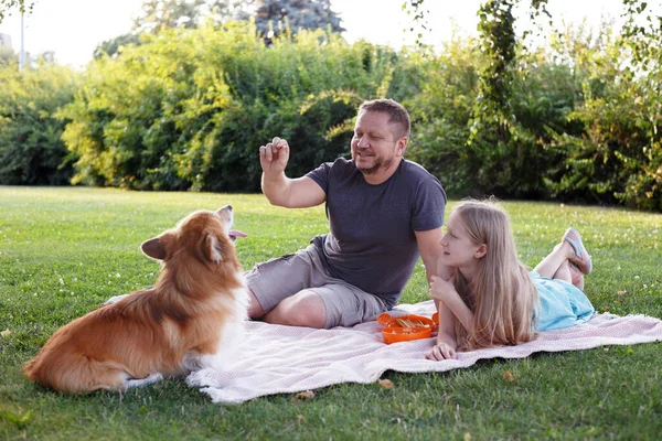 Familia Feliz Perro Papá Niña Perro Corgi Césped Par —  Fotos de Stock