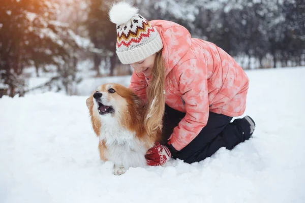 Beautiful Blond Girl Corgi Fluffy Winter — Stock Photo, Image