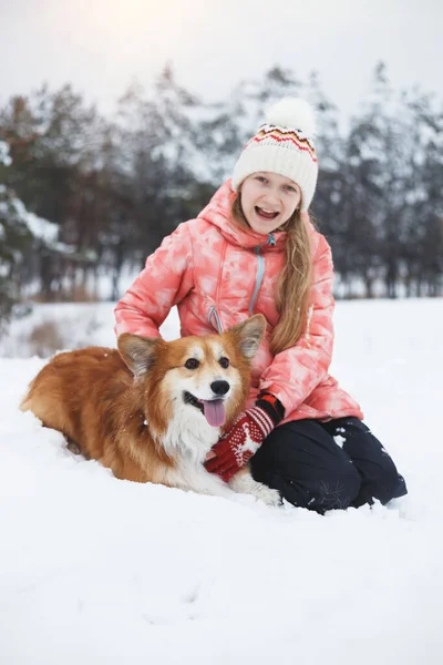 美しい金髪の女の子とコーギーふわふわで冬のDa — ストック写真