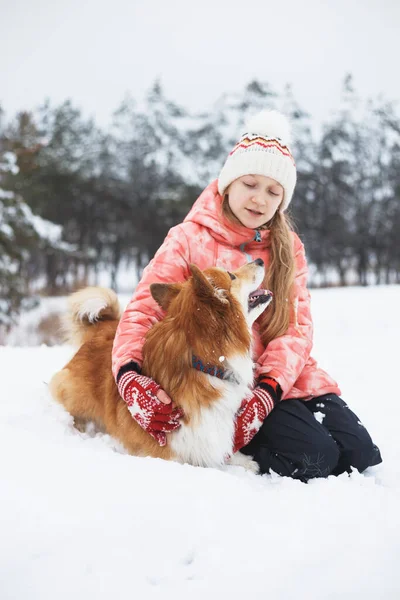 Hermosa Chica Rubia Corgi Esponjoso Invierno —  Fotos de Stock