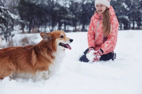 Hermosa Chica Rubia Corgi Esponjoso Invierno — Foto de Stock