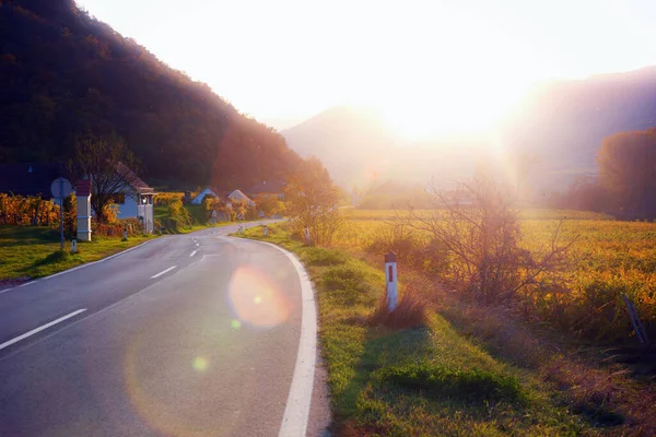 Horská Cesta Cesta Vinicemi Při Západu Slunce Wachau Valle — Stock fotografie