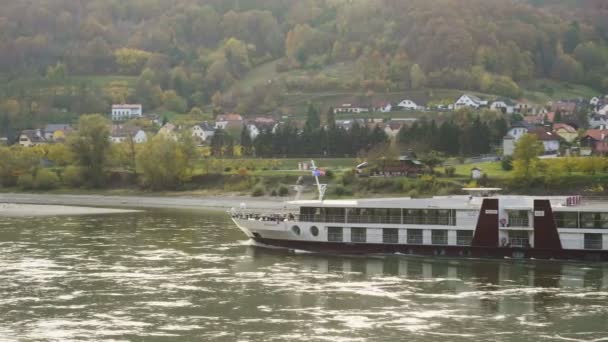 Avusturya Nın Wachau Vadisi Nde Tuna Nehri Nin Kıyısında Yüzen — Stok video