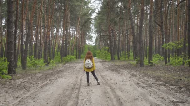 Lächelndes Wandermädchen Gelber Jacke Mit Rucksack Spaziert Der Kiefernwaldstraße Entlang — Stockvideo