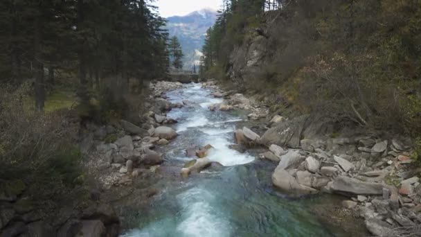 奥地利萨尔茨堡托恩国家公园Krimml瀑布景观 — 图库视频影像