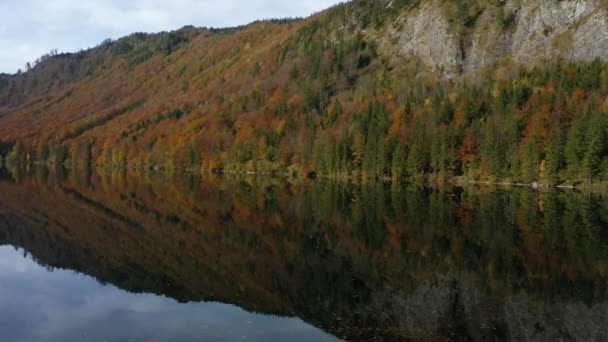 美しいオーストリアの秋海岸沿いのカラフルな赤い木があるラングバツェ湖 — ストック動画