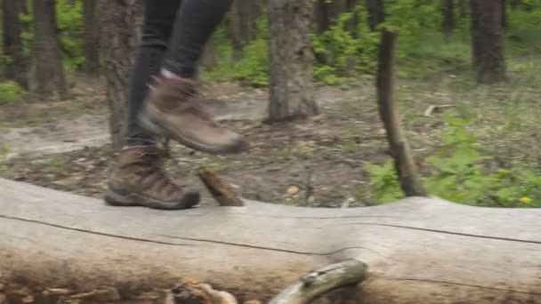 Yürüyüş Botları Giyen Ormanda Ağaç Gövdesinin Yanından Geçen Yürüyüşçü Kızın — Stok video