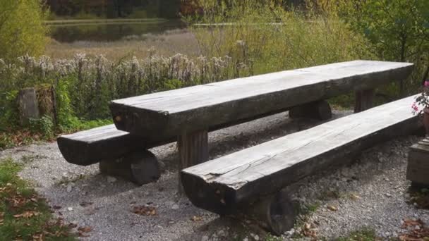 Wooden Restplace Table Benches Lake Shore Surrounded Beautiful Autumn Forest — Stock Video