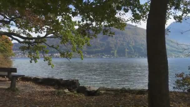 オーストリアのザルツカンマーグート地方の湖畔にあるベンチ — ストック動画