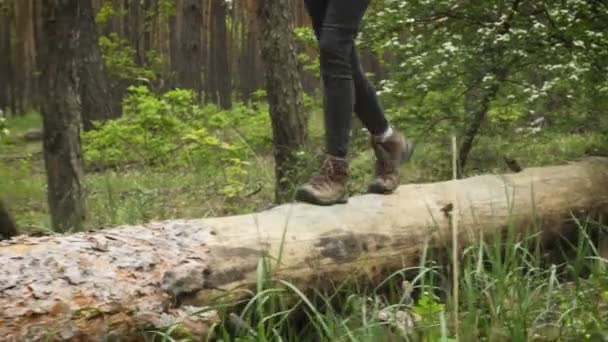 Nahaufnahme Von Wandermädchen Wanderschuhen Die Baumstamm Wald Spazieren Gehen — Stockvideo