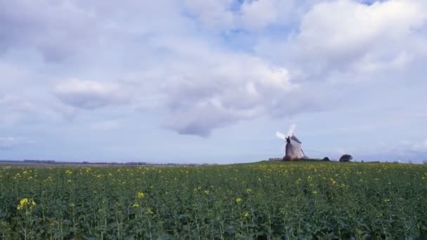 Gammal Normandisk Väderkvarn Fältet Normandie Frankrike — Stockvideo
