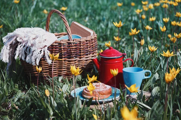 Frühlingspicknick Auf Der Wiese Stillleben Zimtbrötchen Tasse Tee Und Korb — Stockfoto