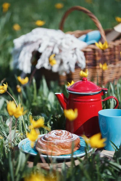 Pique Nique Printemps Dans Prairie Nature Morte Pain Cannelle Tasse — Photo