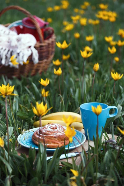 Весняний Пікнік Лузі Натюрморт Кориця Чашка Чаю Кошик Задньому Плані — стокове фото