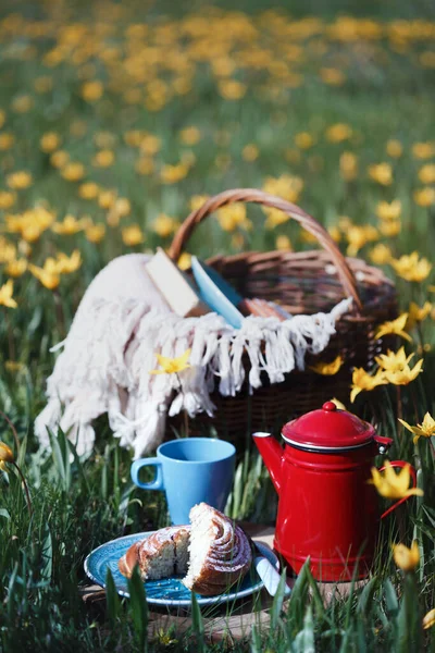 Jarní Piknik Louce Zátiší Skořicová Houska Šálek Čaje Koš Pozadí — Stock fotografie