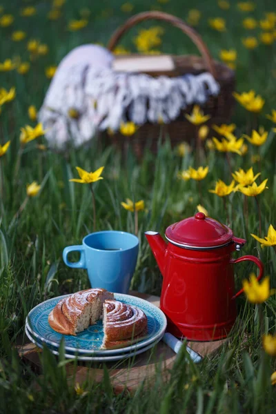 Vårpicknick Ängen Stilleben Kanelbulle Kopp Och Korg Bakgrunden Atmosfär Och — Stockfoto