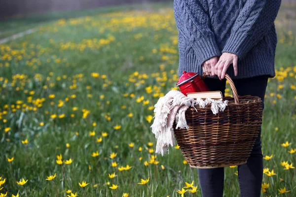 Pique Nique Printemps Dans Prairie Fille Tient Panier Pour Pique — Photo