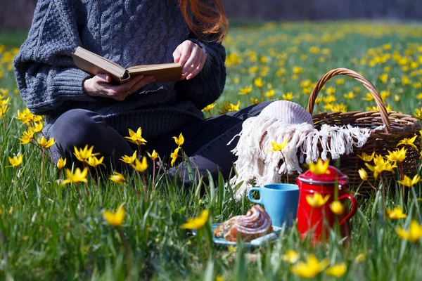 Весняний Пікнік Лузі Дівчина Читає Книгу Фоні Красивих Диких Жовтих — стокове фото