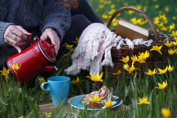 Kız Bahar Pikniğinde Fincana Çay Doldurur Arka Plandaki Çayırda Güzel — Stok fotoğraf