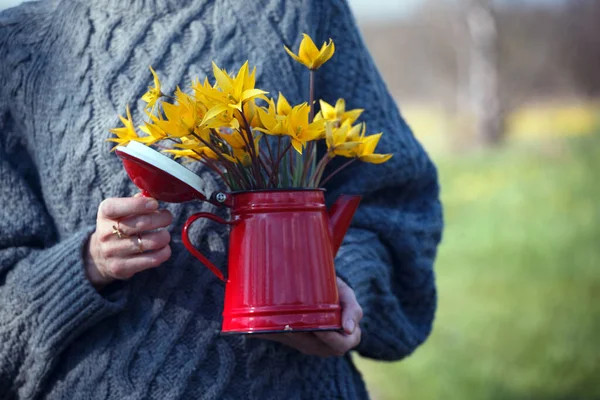 Fille Tenant Une Théière Avec Bouquet Tulipes Jaunes Dans Main — Photo