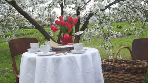 Rüzgarlı Bahar Gününde Özel Bahçedeki Ağaçların Altında Yemek Masası — Stok video