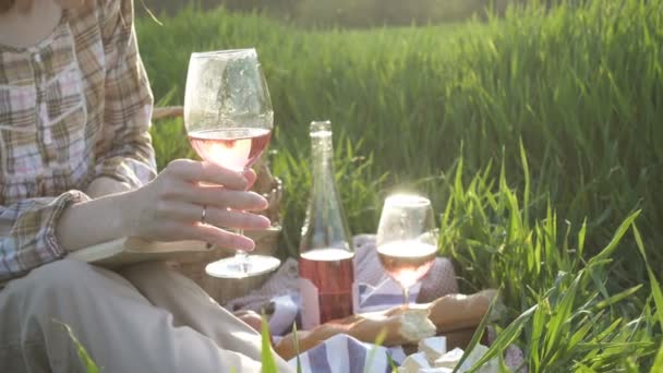 Girl Book Picnic Summer Field — Stock Video