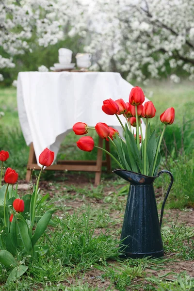 Vida Acero Desayuno Jardín Primavera Mesa Con Mantel Blanco Servido — Foto de Stock