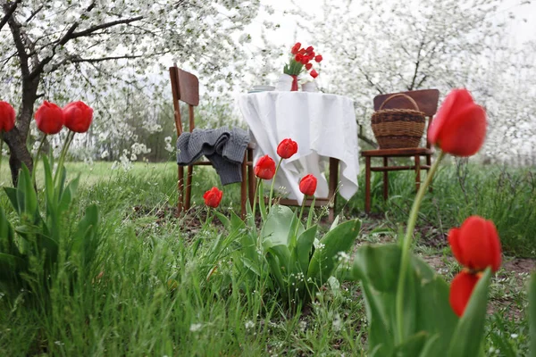 スチールライフ 春の庭の朝食 お茶を飲むための白いテーブルクロスと前景のチューリップとテーブル — ストック写真