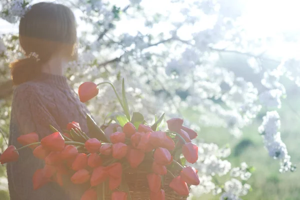 Девушка Огромным Букетом Красных Тюльпанов Башке — стоковое фото