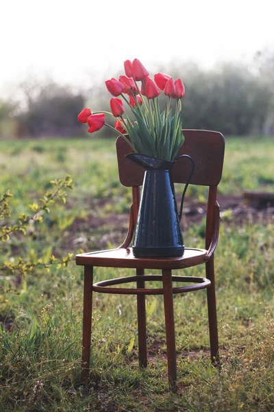 Printemps Jardin Vie Acier Tulipes Rouges Dans Stand Cruche Rétro — Photo