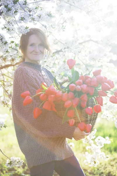 Ragazza Con Enorme Mazzo Tulipani Rossi Nel Baske — Foto Stock