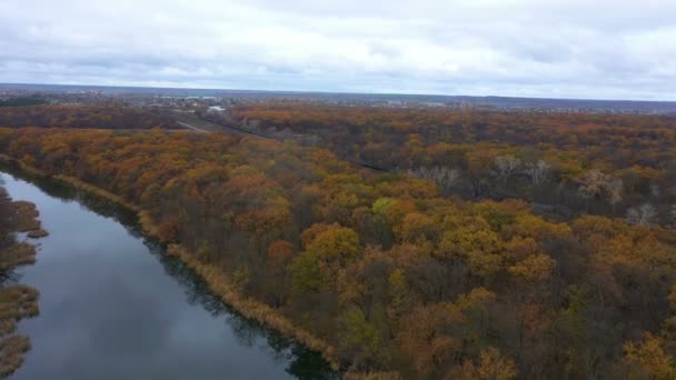 Vista Aérea Del Tren Carga Que Mueve Través Del Bosque — Vídeos de Stock