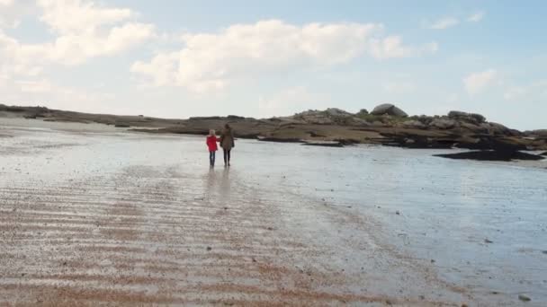 Children Walking Sandy Beach Time Low Tide Brittany France — Stock Video