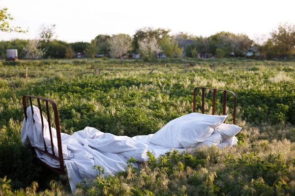 Bed Green Field Healthy Sleep Natur — Stock Photo, Image