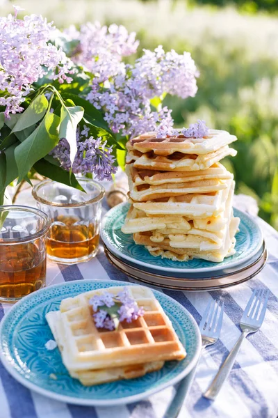 Frühstück Garten Belgische Waffeln Und Tasse Mit Tasse — Stockfoto