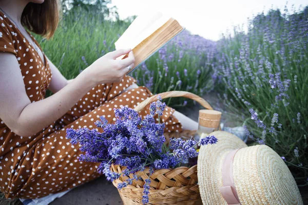 Provence Dívka Čte Knihu Levandulovém Poli — Stock fotografie