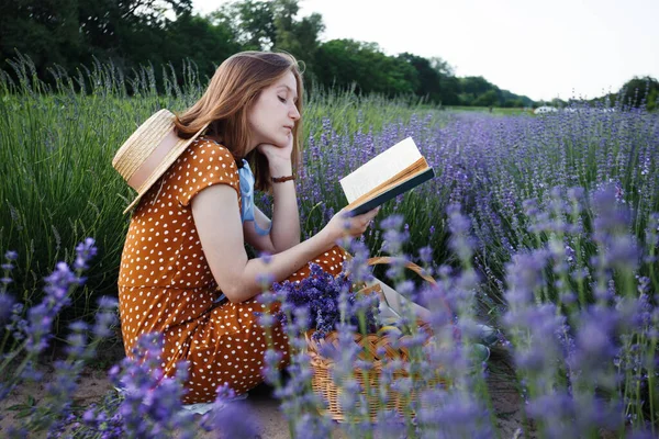 Прованс Дівчинка Яка Читає Книжку Лавандовому Полі — стокове фото
