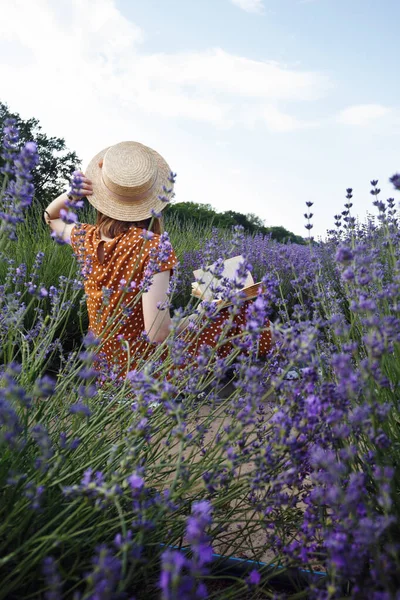 Provence Menina Lendo Livro Campo Lavanda Cesta Com Lavanda Primeiro — Fotografia de Stock