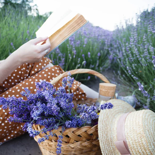 Provence Dívka Čte Knihu Levandulovém Poli — Stock fotografie