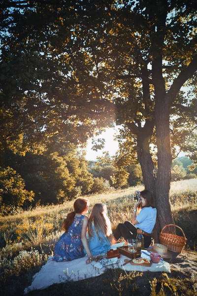 Verão Família Piquenique Prado Nos Inimigos — Fotografia de Stock