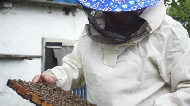 Imker Werkt Met Bijen Bijenkorven — Stockvideo