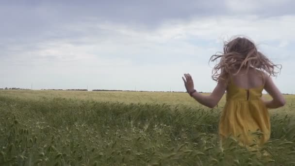 Geel Gekleed Gelukkig Kind Meisje Lopen Het Tarweveld — Stockvideo