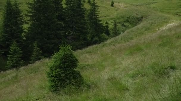 Beautiful Romanian Ciucas Mountains Panorama — Stock Video