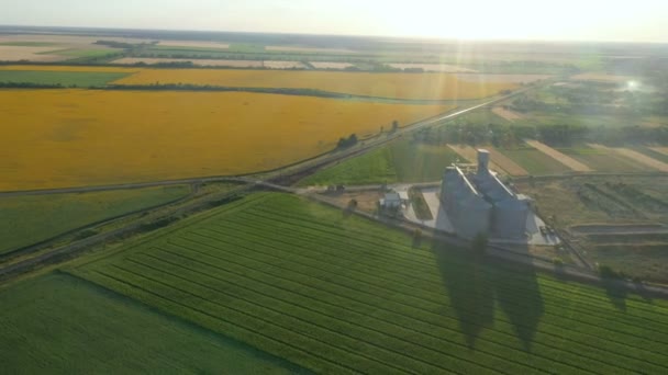 ひまわり畑の現代の穀物サイロエレベーター空撮 — ストック動画