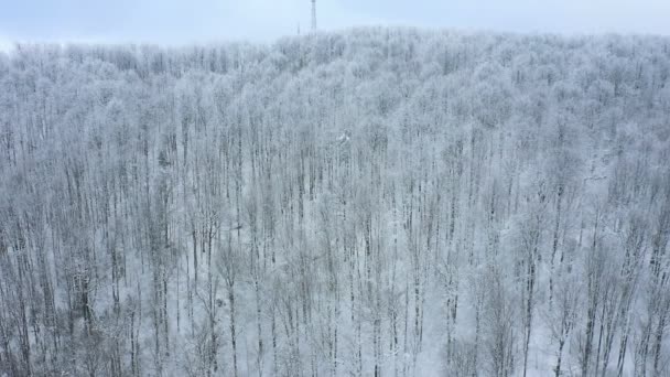 Luchtfoto Drone Uitzicht Het Bos Hoog Bergen Heuvel Winter Met — Stockvideo