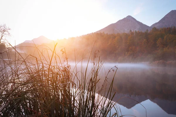 Landschaft Mit Einem Schönen Bergsee Mit Spiegelung Herbst — Stockfoto