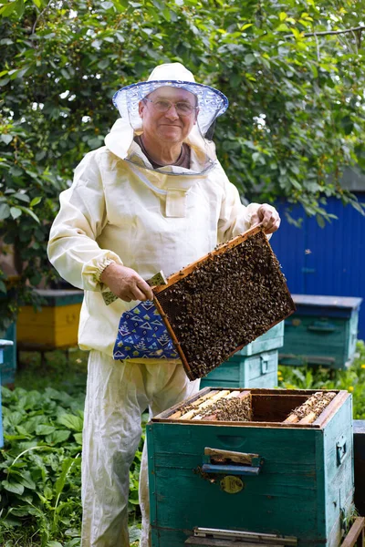 Beekeeper Working Bees Beehive — Stock Photo, Image