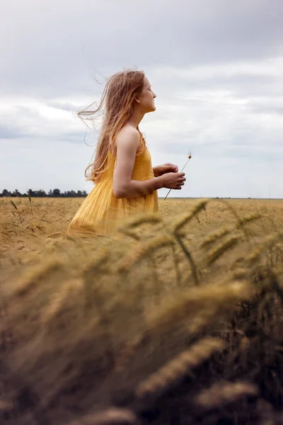 Happy Young Girl Joys Wheat Field Evening Tim — Stock Photo, Image