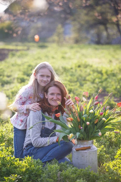 女の子は夕日を背景に庭にチューリップの花束を収集します 家族やガーデニン — ストック写真